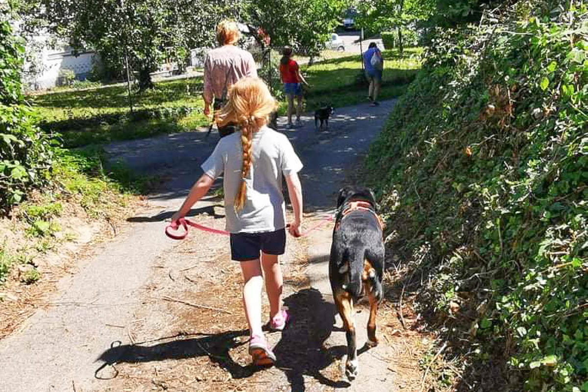 Hund Anna mit Kindern in der Natur unterwegs