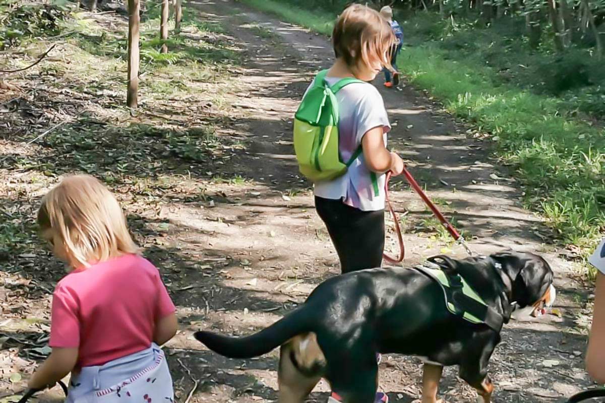 Waldspaziergang mit Kindern und Hund Anna