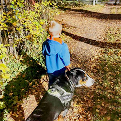 Kleiner Junge spaziert mit Hund Anna im Wald